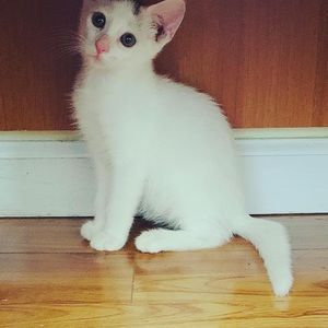 Meet your Posher, Linda